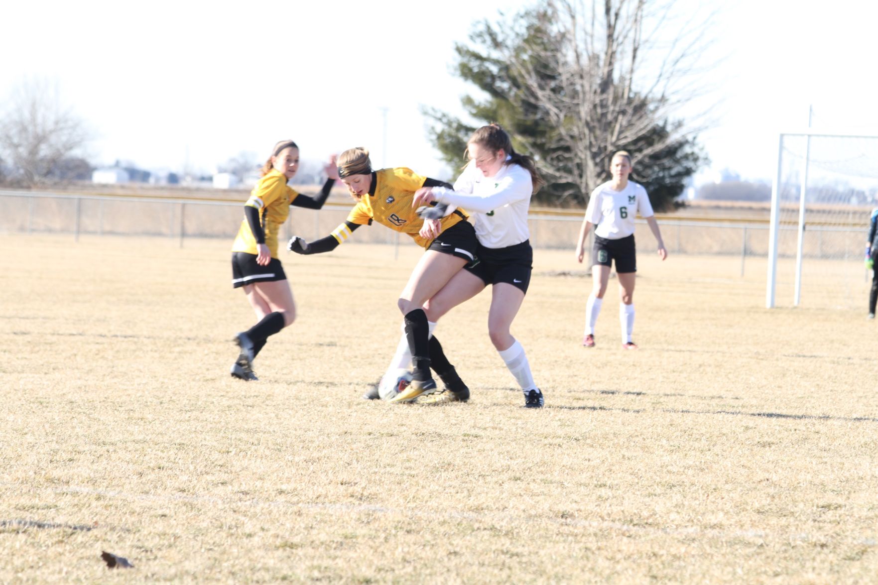 Girls Soccer Prevails